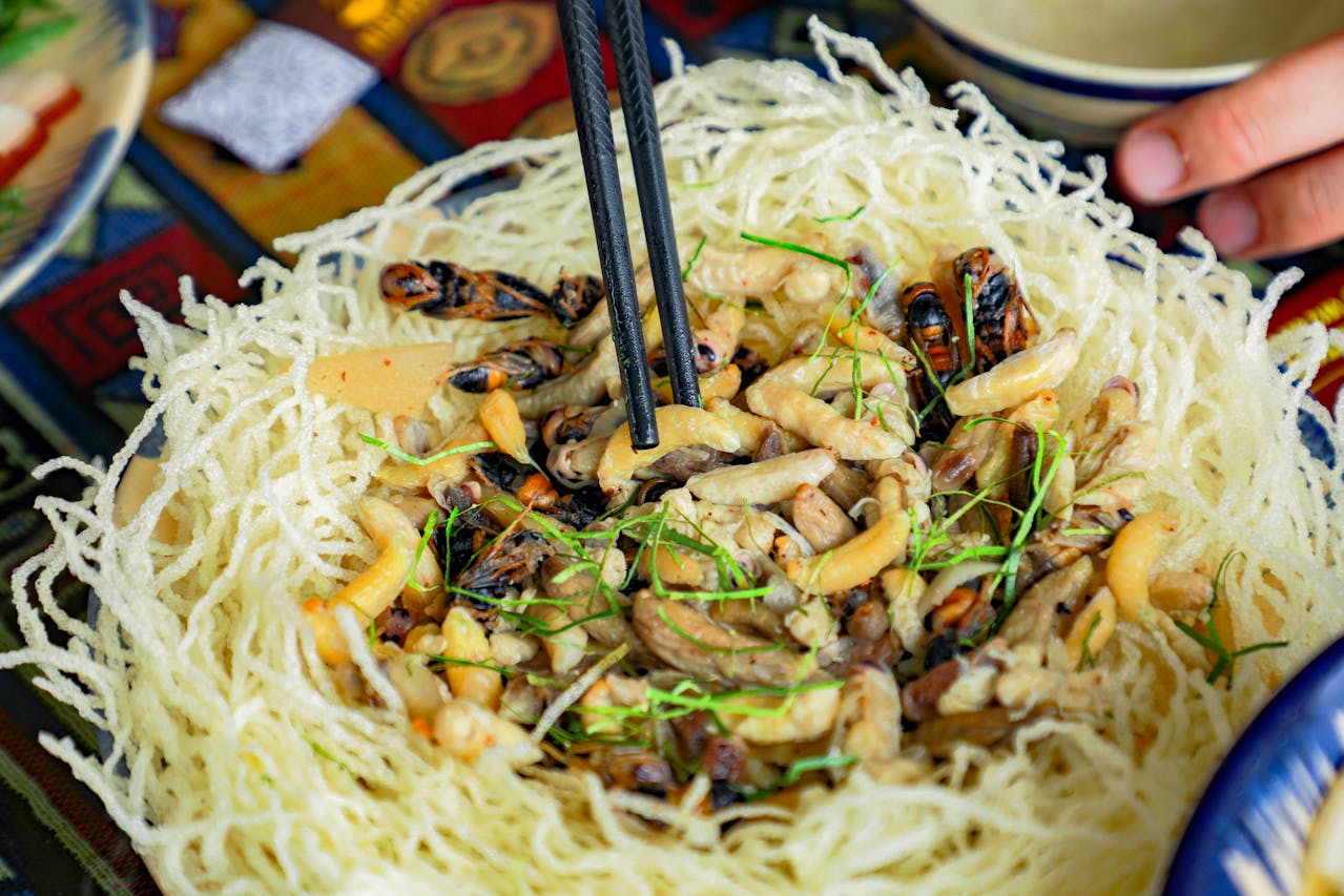 A plate of stir fried bugs on noodles with chopsticks